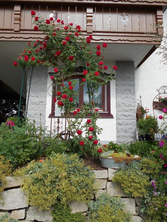 לאם Ferienwohnung Arberblick מראה חיצוני תמונה