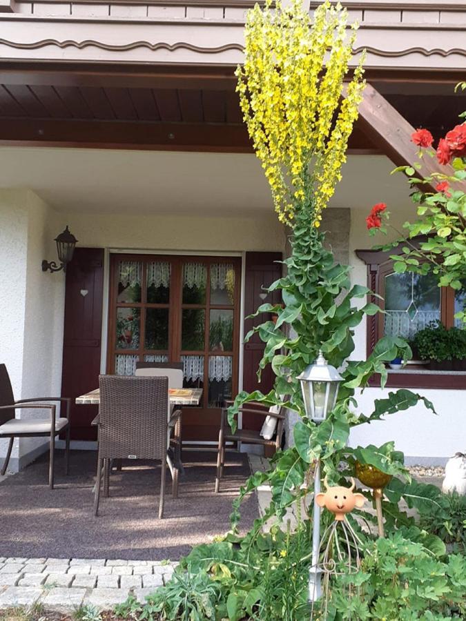 לאם Ferienwohnung Arberblick מראה חיצוני תמונה